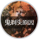 ൺưͺļҺ